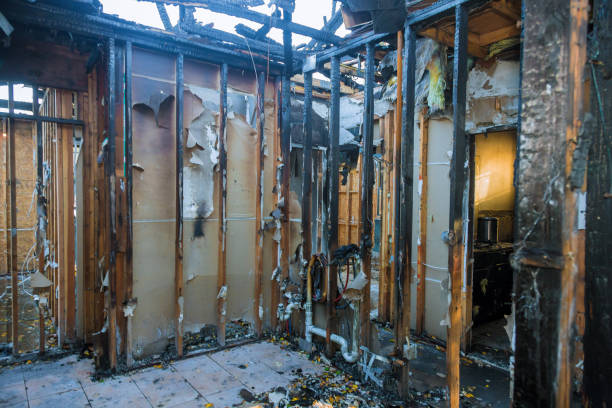 Professional Smoke Damage Removal technician working in Pimmit Hills, VA